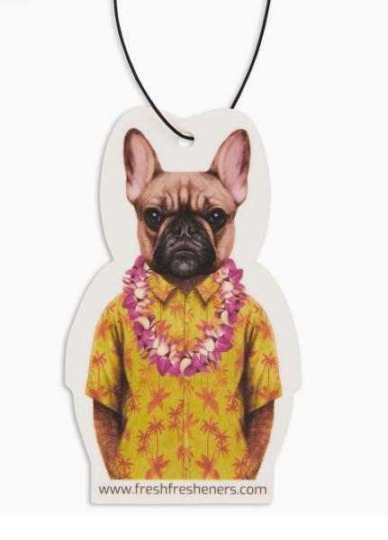 Frenchie In Hawaii